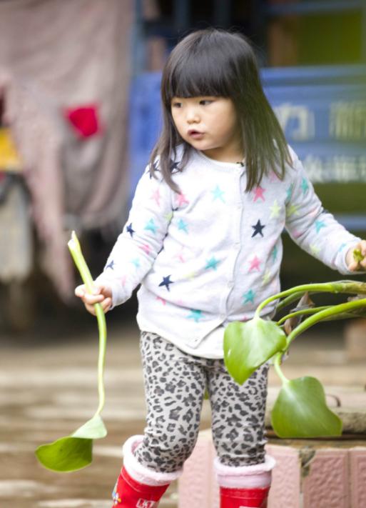 金字偏旁适合男孩名字：创意与传统的完美融合